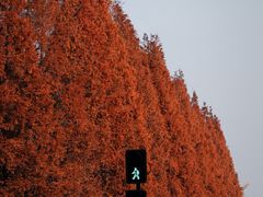 -升仙湖公园