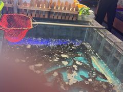 -山河屯铁锅炖鲜鹅·东北菜(开发区一店)