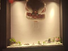 -扬州狮子楼·非遗淮扬菜(东关街店)