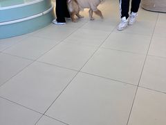 -怪兽屋·羊驼·猫咖·狗咖(俊华广场店)