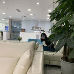 -贞禾医美·连锁