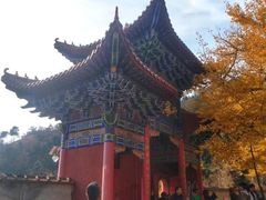 -遵化市禅林寺古银杏风景园