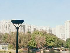 -荔湾湖公园