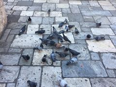 -奥林匹亚宙斯神庙