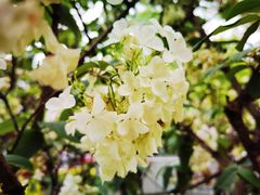 -大龙山(地铁站)