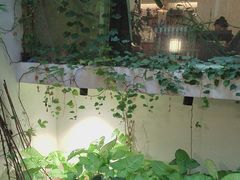 -绿房子方寸咖啡(星海名城店)