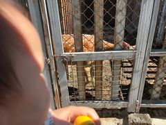 -意大利农场度假村