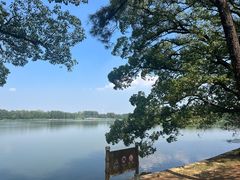 -东湖落雁景区