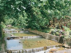 -广州白江湖森林公园