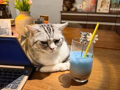 -咖法森林·咖啡  酒吧(天河店)