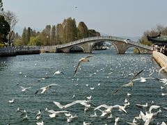 -翠湖公园
