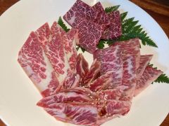 -观品和牛