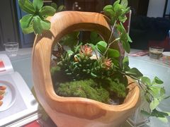 -董家大院·京味家常菜(朝丰家园店)