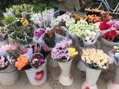 -三圣花乡旅游区