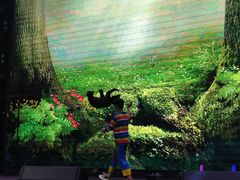 -梦幻奥陶纪景区