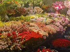 -朝来春花卉市场