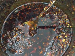 -椿萱堂鱿鱼面(同和路店)