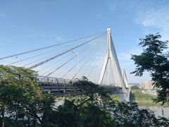 -大渡口区义渡公园