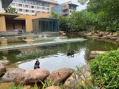 -南宁荔园维景国际酒店·荔园中餐厅