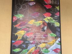 -成都当代影像馆