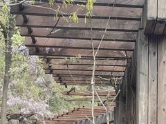 -敬亭山风景名胜区