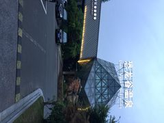 环球恐龙城维景国际大酒店-常州环球恐龙城维景国际大酒店