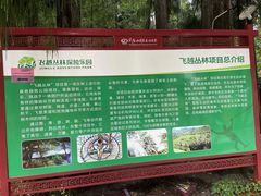 -武陵山森林公园