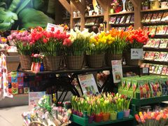 -阿姆斯特丹史基浦机场