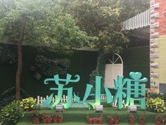 -苏小糖(鼓浪屿三丘田花园店)