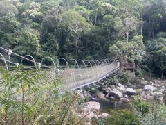 -海南热带雨林国家公园吊罗山景区