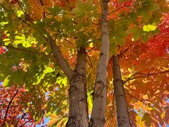 -回龙观体育文化公园