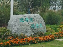 -微山湖红荷湿地景区