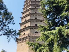 -法门文化景区