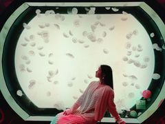 -沈阳海洋探索中心