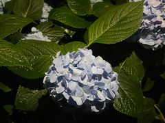 -常州古运河南大街文化旅游区-人民公园