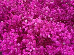 -石家庄正定国际机场-T2航站楼