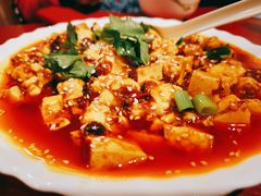 麻婆豆腐-熊猫川菜馆 panda chine