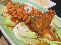 松鼠桂鱼-新白鹿餐厅(城西银泰城店)