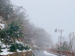 -杭州半山国家森林公园