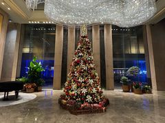 -北京朝阳悠唐皇冠假日酒店