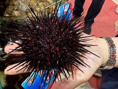 -天天渔港(杏林街店)