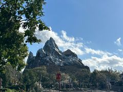 -奥兰多迪士尼动物王国乐园