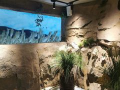 -客宴·江西客家菜(红角洲店)