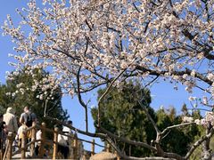 -白水寺森林公园