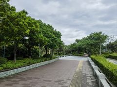-五缘湾湿地公园