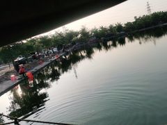 -会江钓鱼钓虾烧烤场