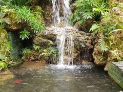 -深圳仙湖植物园
