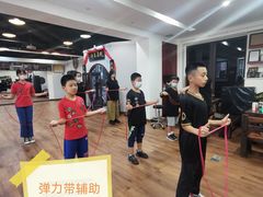 -温鉴良实用咏春拳