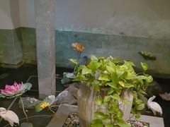 -韵道养生.足道.按摩.SPA(古美店)