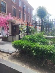 -米莱摄影写真(五大道别墅店)